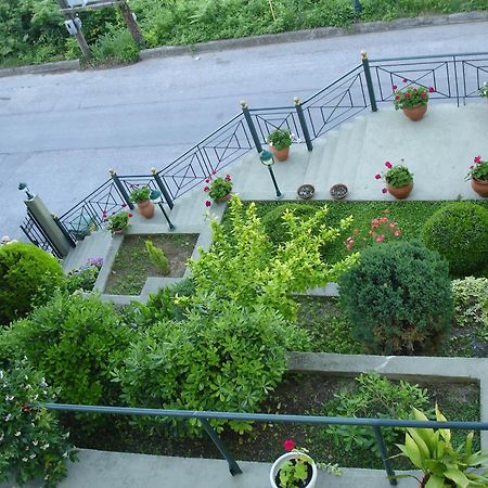 Anesis Hotel Platamonas Bagian luar foto