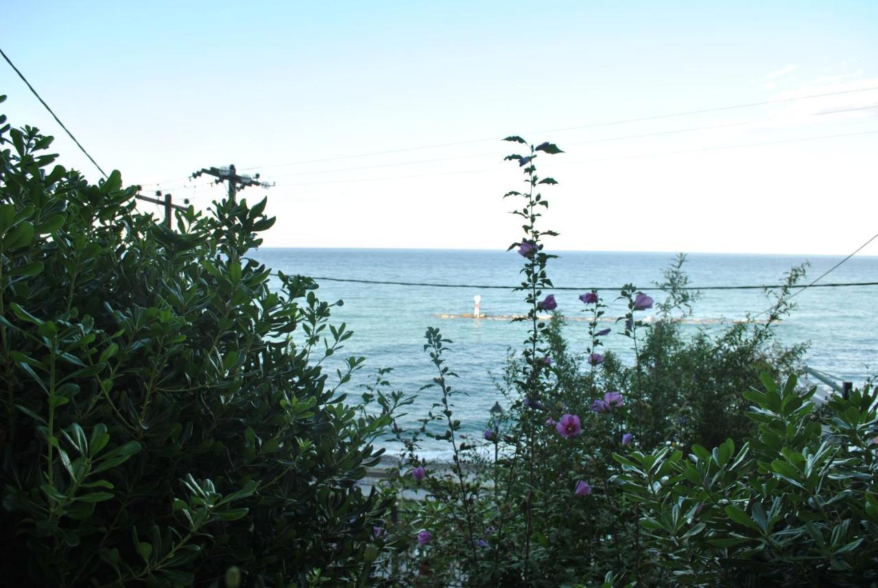 Anesis Hotel Platamonas Bagian luar foto